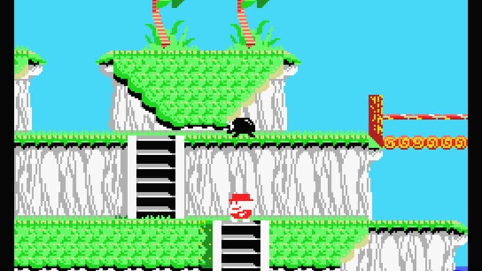 Ananas screenshot 2