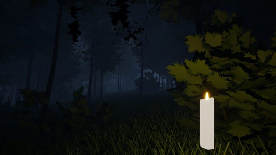 Hiis screenshot 4