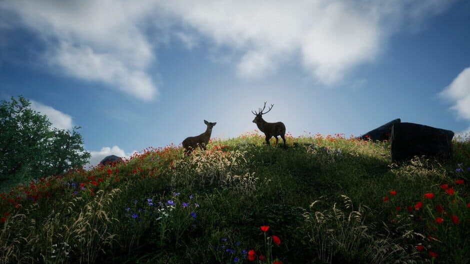 Tales from the Cache screenshot 3