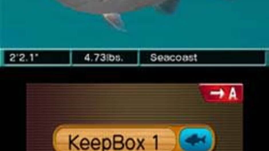 Reel Fishing 3D Paradise screenshot 4