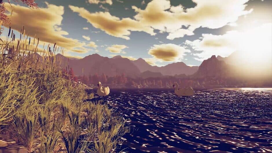 Instacalm VR screenshot 2