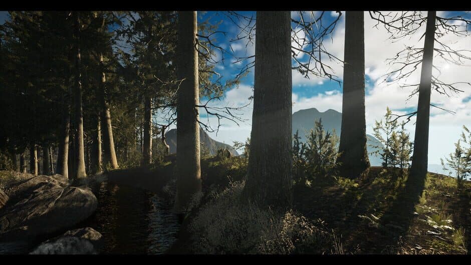 Princess & Blade screenshot 4