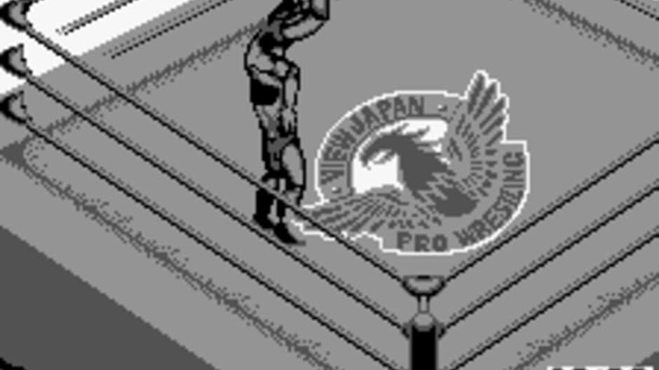 Fire Pro Wrestling for WonderSwan screenshot 1