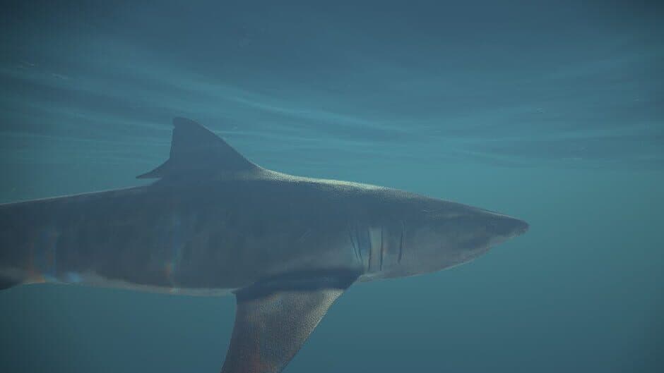 Memory Illusions screenshot 3