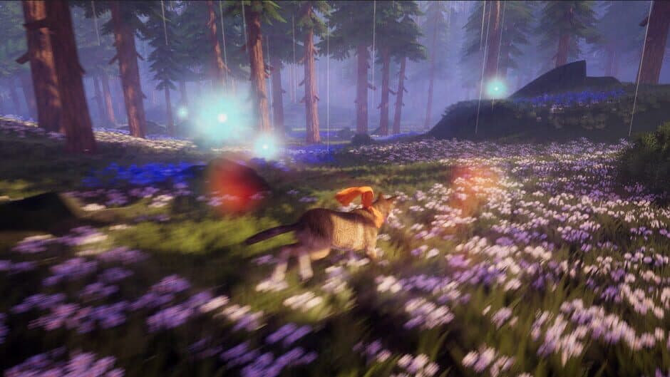 Storm & Calm screenshot 1