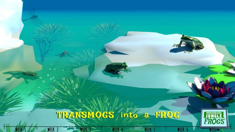 Markerboard Jungle: Frogs screenshot 4
