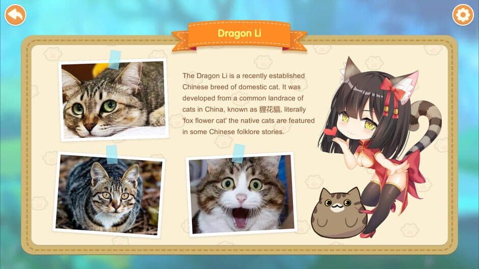 Miss Neko 2 screenshot 2