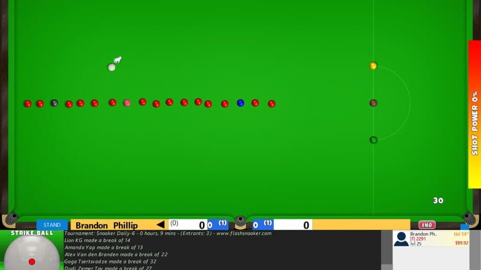 Flash Snooker Game screenshot 3