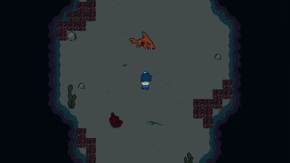Nami screenshot 3