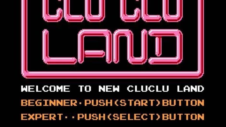 Clu Clu Land D screenshot 1