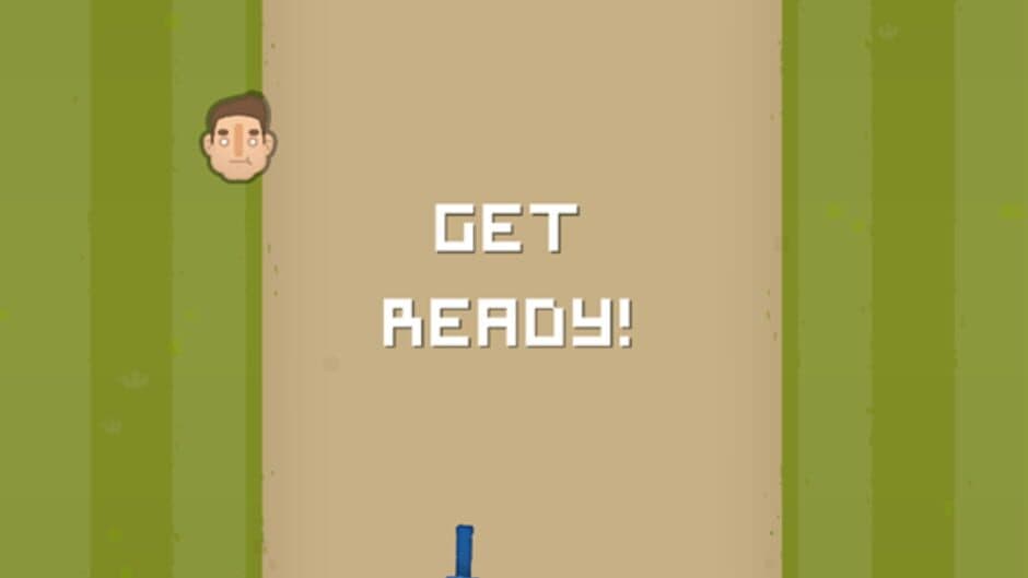 Village Cricket screenshot 1