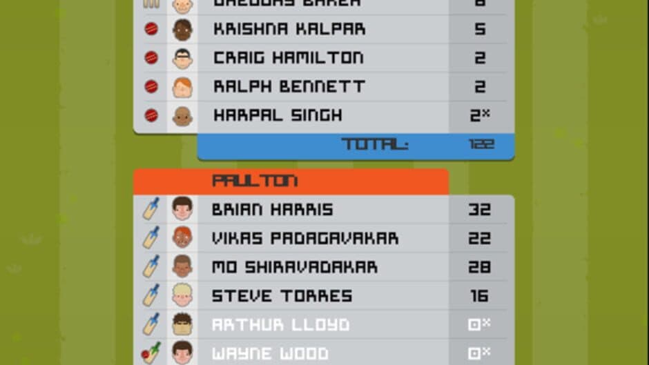 Village Cricket screenshot 4