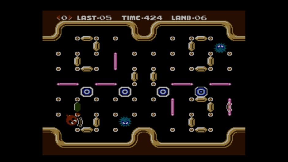 Clu Clu Land D screenshot 3