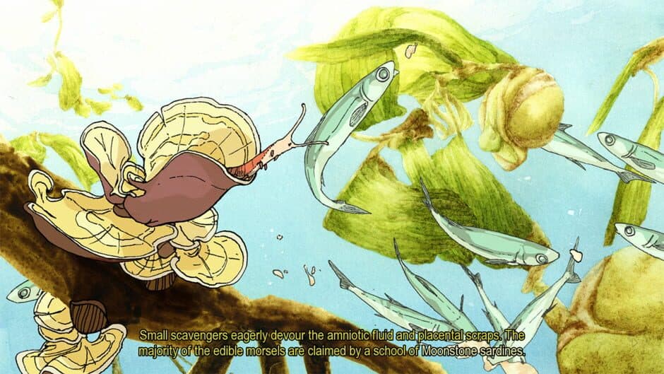 South Scrimshaw screenshot 1