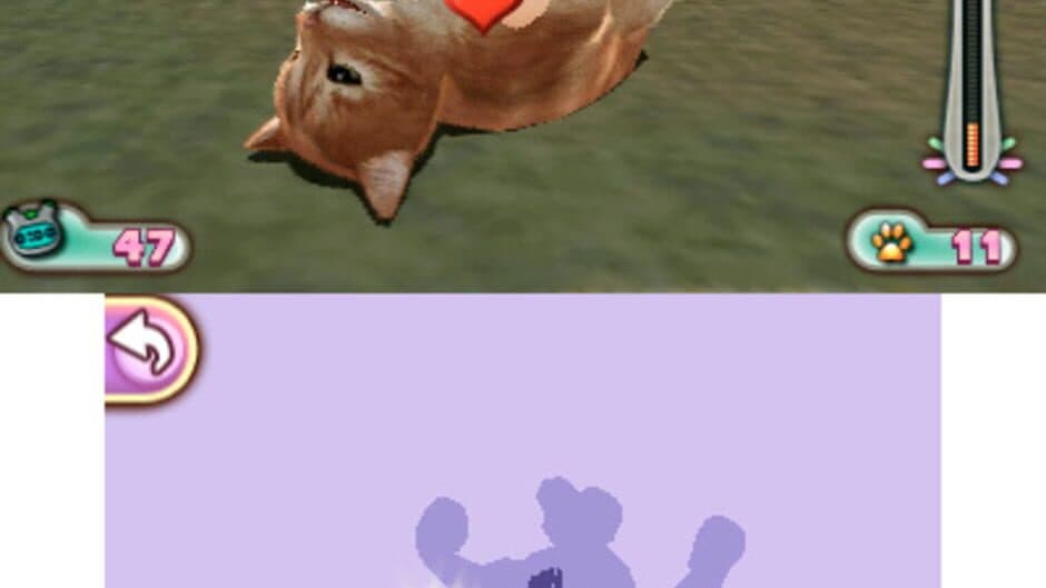 I Love My Pets screenshot 2