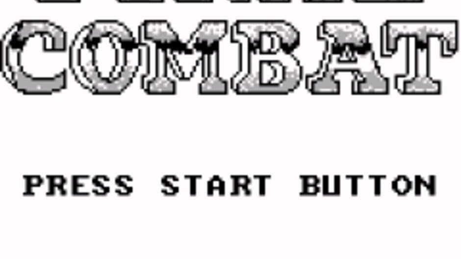 Final Combat screenshot 1