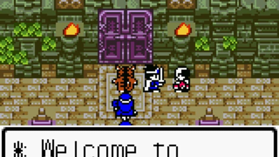 Dragon Warrior III screenshot 4