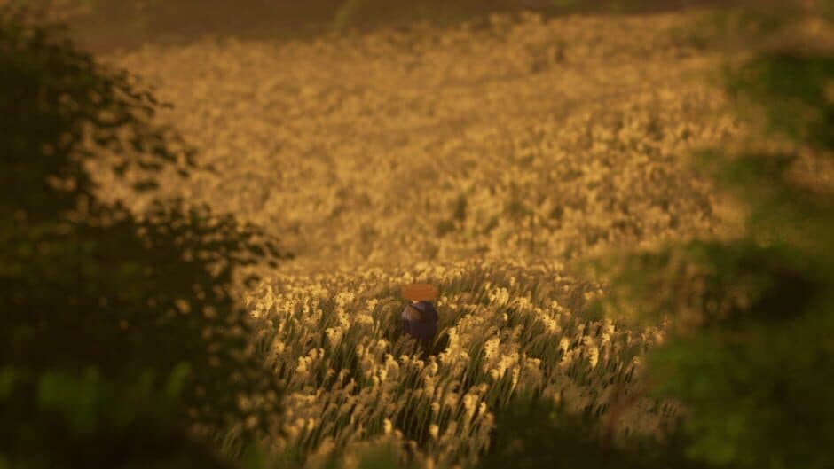 Ronin Trail screenshot 1