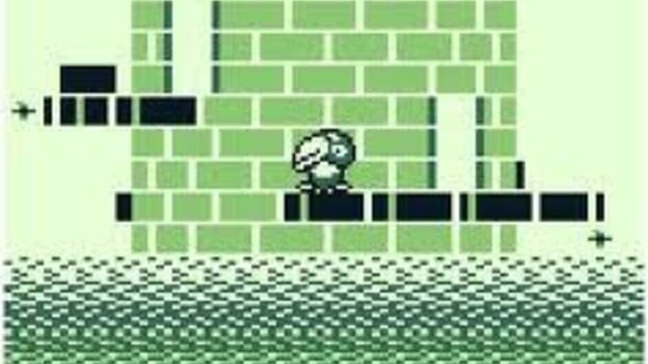 Kyoro-chan Land screenshot 3