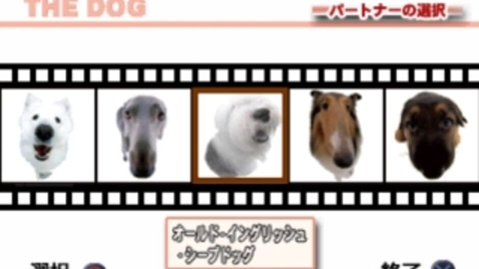 The Dog Master screenshot 2