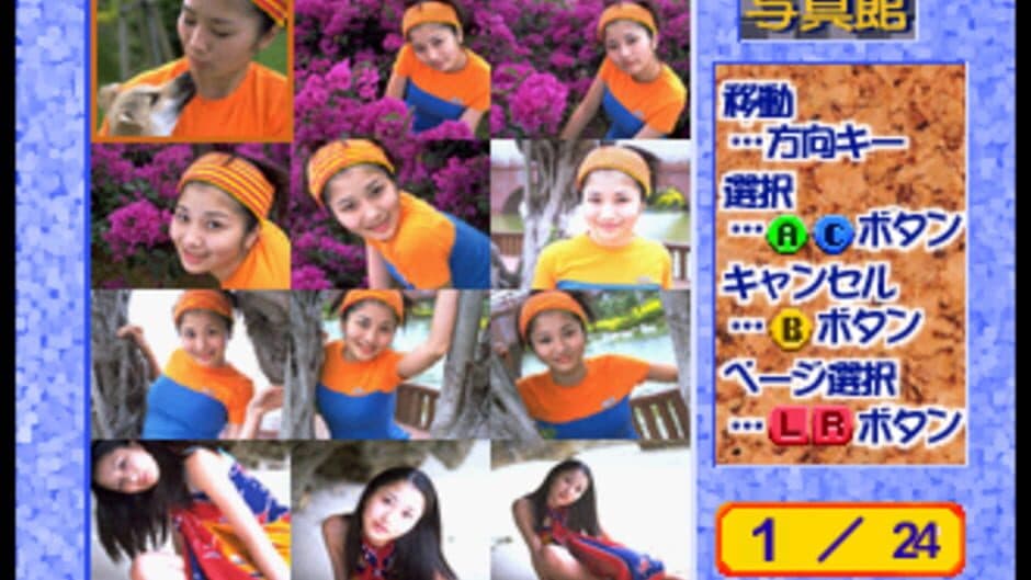 Private Idol Disc Vol. 11: Mayumi Hirose screenshot 2