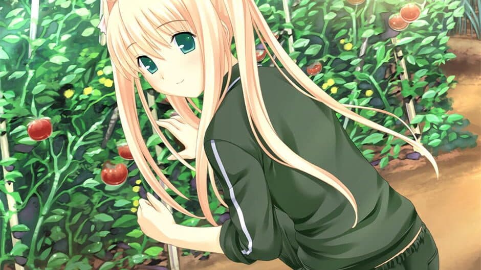 Kono Aozora ni Yakusoku wo screenshot 2