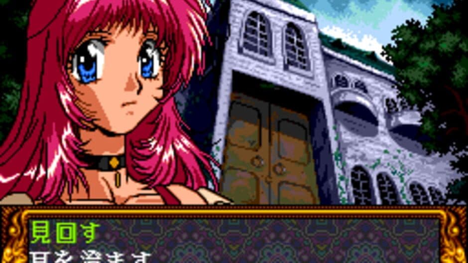 Private Eye Dol screenshot 3