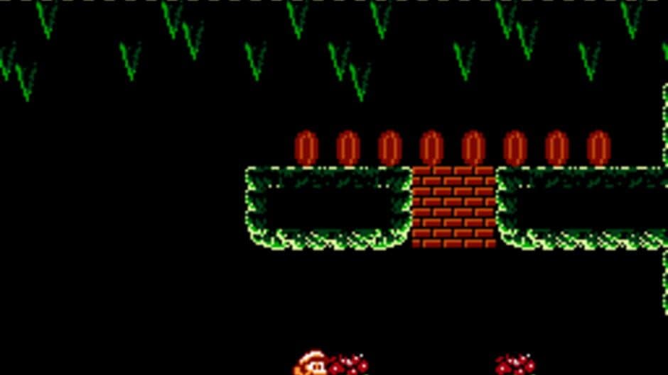 Extra Mario Bros. screenshot 2