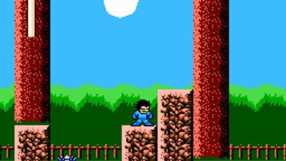 Mega Man: The New Lands screenshot 1