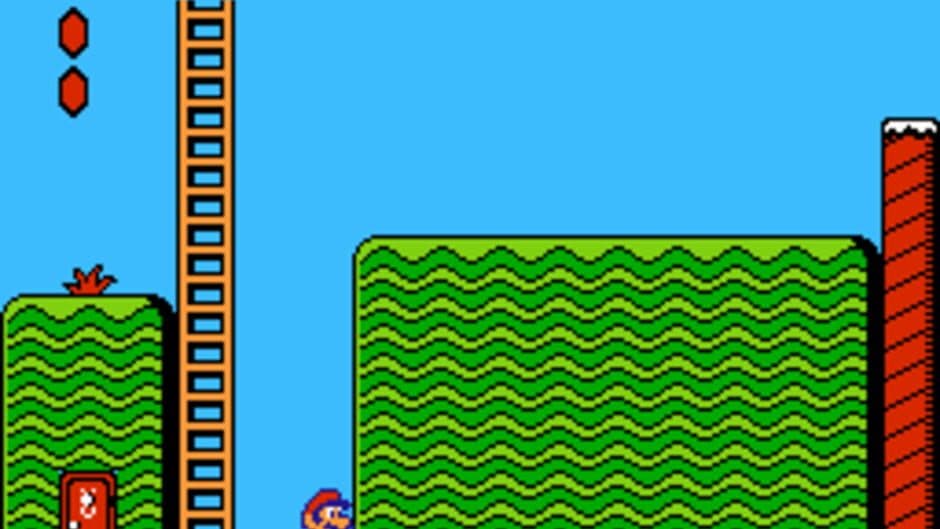 Super Mario Bros. 2: 2nd Run screenshot 2