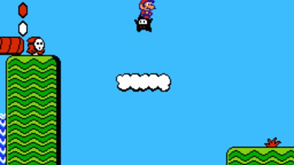 Super Mario Bros. 2: 2nd Run screenshot 3