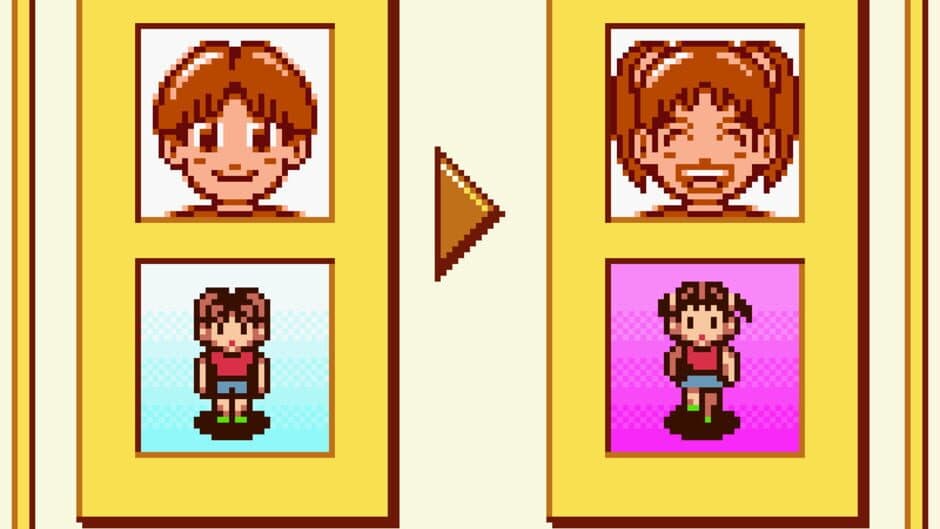Animal Breeder 3 screenshot 2