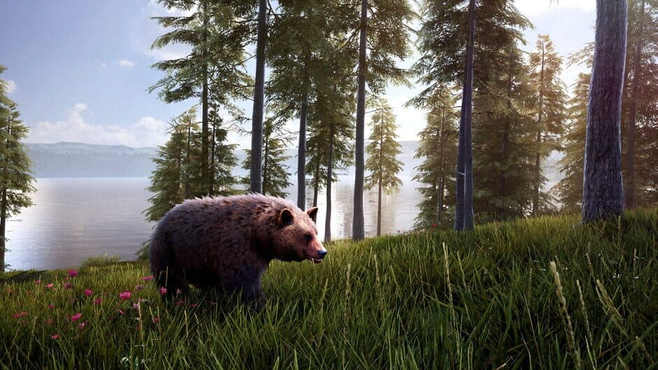 Hunting Simulator 2: Bear Hunter Pack screenshot 1