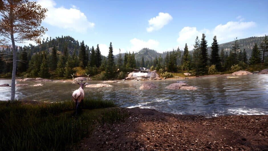 Hunting Simulator 2: Bear Hunter Pack screenshot 2