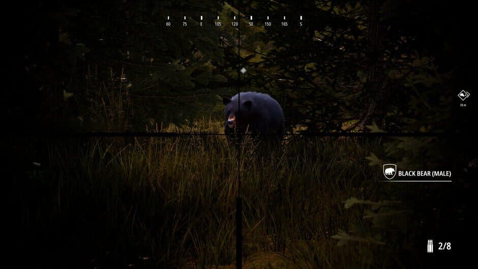 Hunting Simulator 2: Bear Hunter Pack screenshot 3