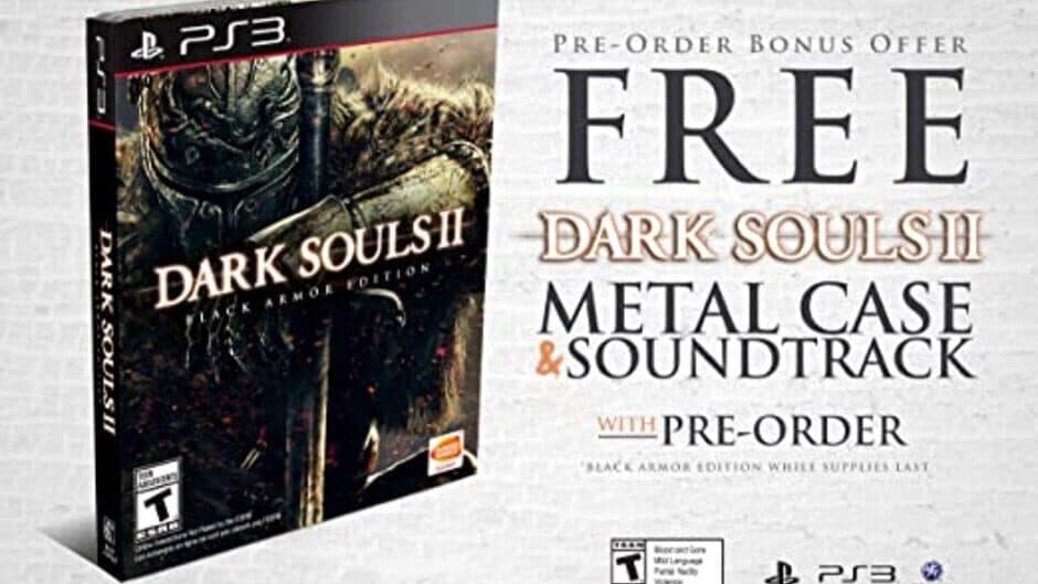 Dark Souls II: Black Armor Edition screenshot 3