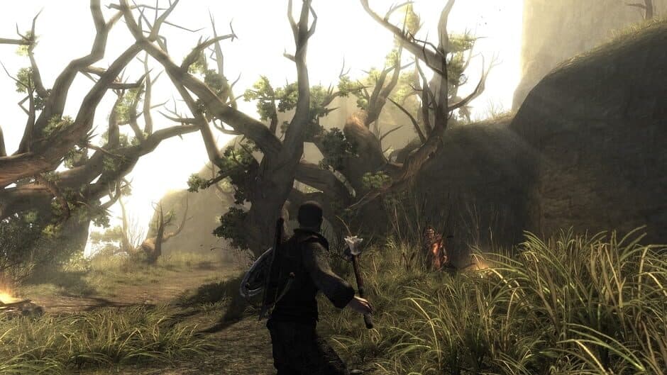 Risen screenshot 3