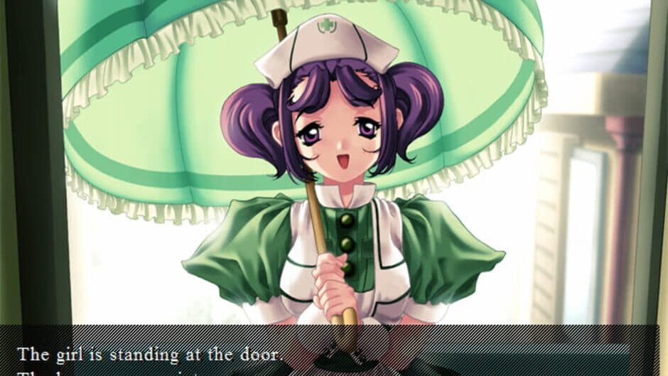 Private Nurse screenshot 2