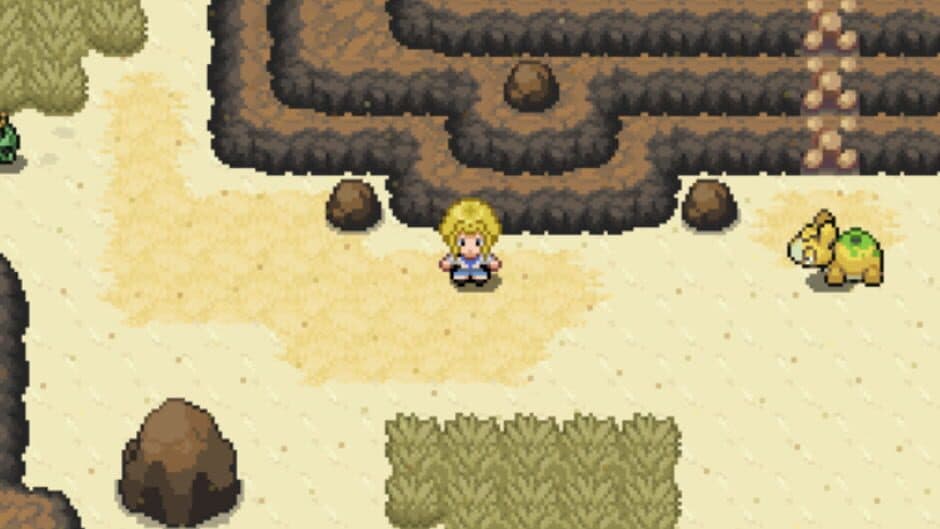 Pokémon Altar screenshot 2