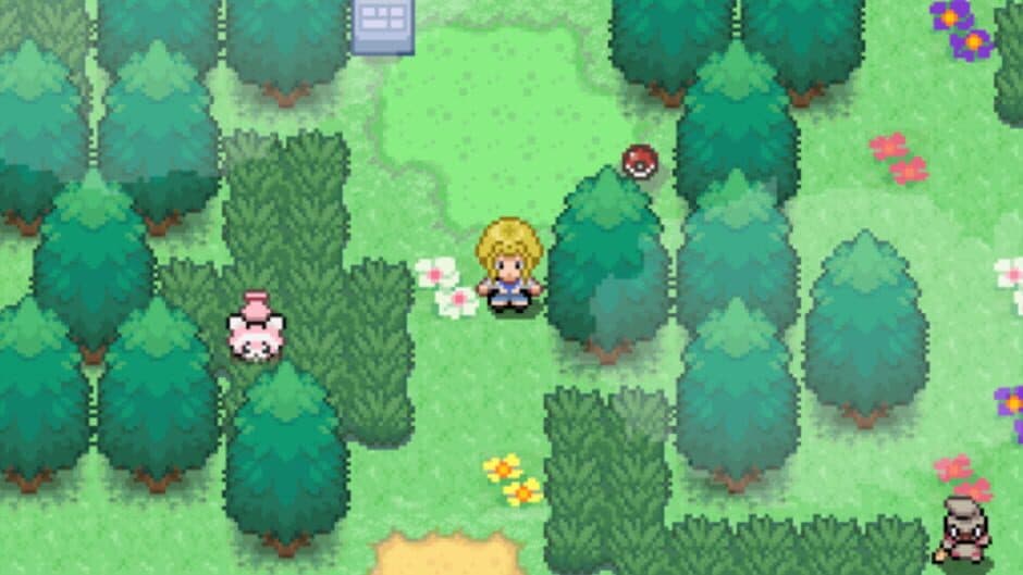 Pokémon Altar screenshot 3