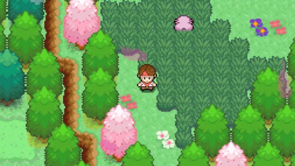 Pokémon Altar screenshot 4