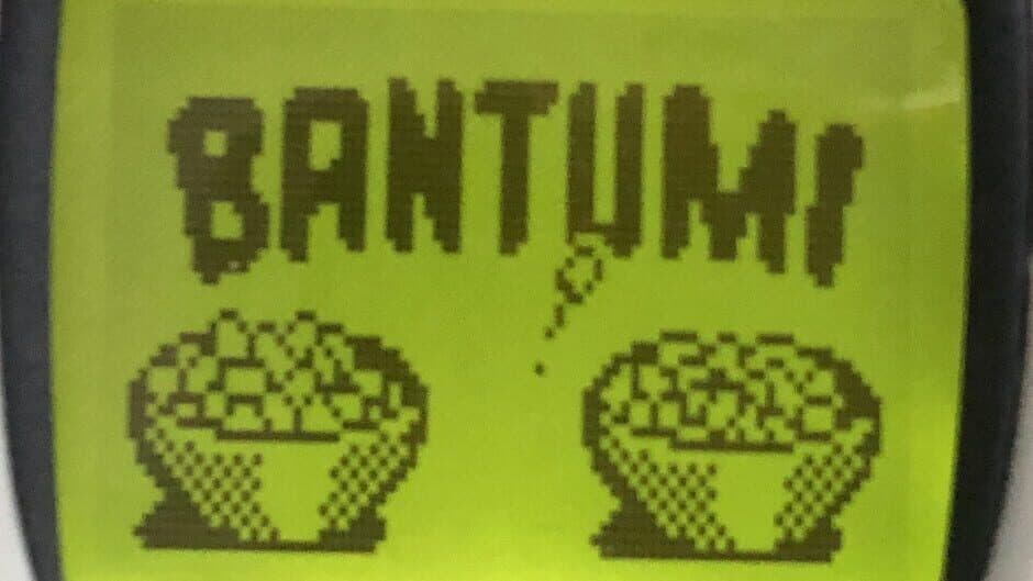 Bantumi screenshot 2