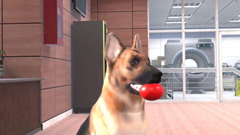 VetVR: Veterinary Simulator screenshot 3