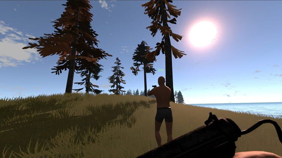 Strayed screenshot 4