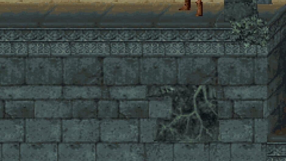 Prince of Persia Classic screenshot 2
