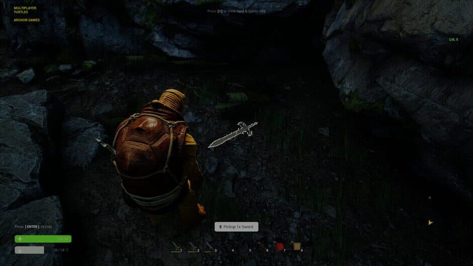 Multiplayer Turtles screenshot 1