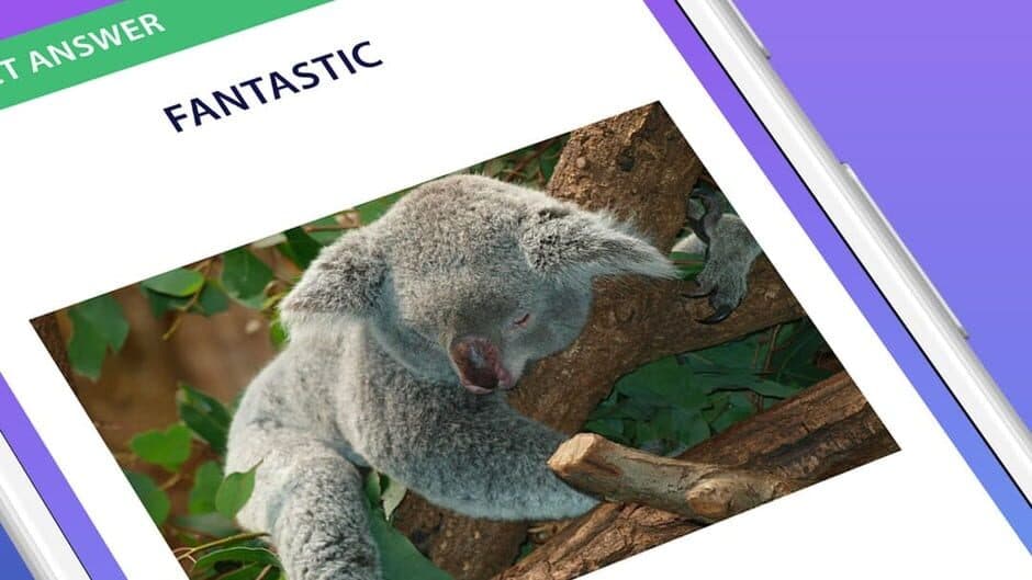 General Knowledge Quiz screenshot 4