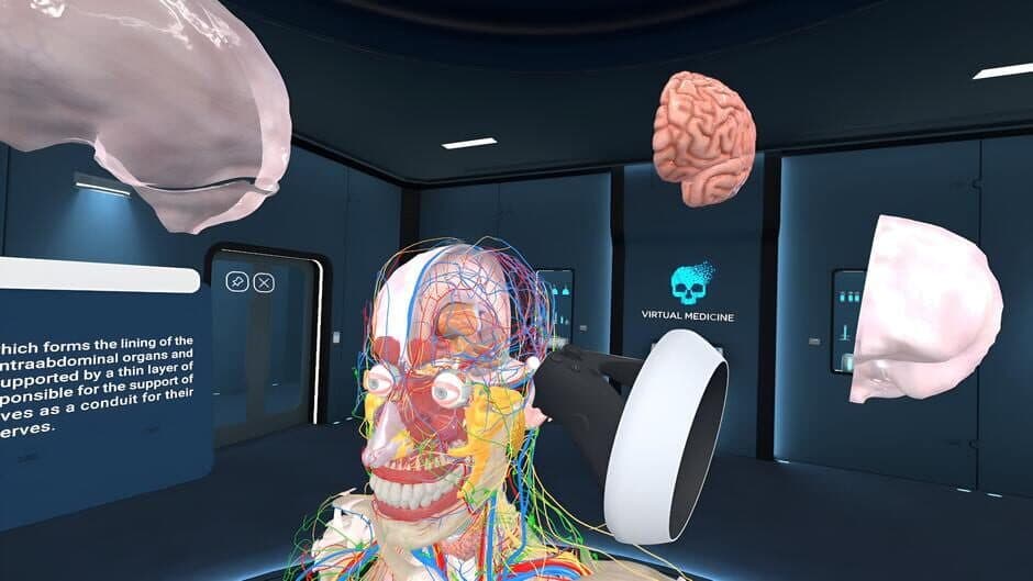Human Anatomy VR screenshot 2