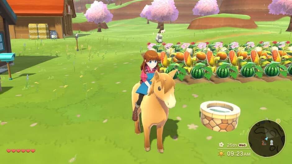 Harvest Moon: The Winds of Anthos screenshot 2
