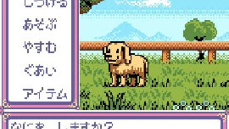 Kawaii Pet Shop Monogatari 2 screenshot 3